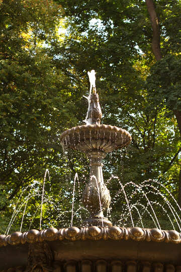 Fountain in park №51119