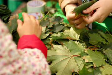 leaves hands craft №51063