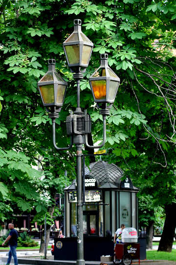 Lampe mit Baum als Hintergrund 3 leuchtet №51824