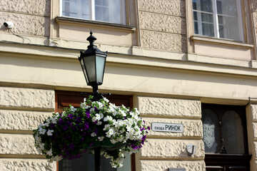 ランプポストと建物と植物のブッシュ街灯壁 №51948