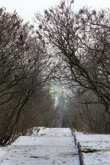 Camino de escena de invierno una calle nieve y árbol №51377