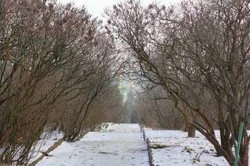 Invierno durante los árboles forestales y un camino nevado camino №51378