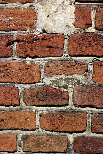 Texture de mur de brique №51766
