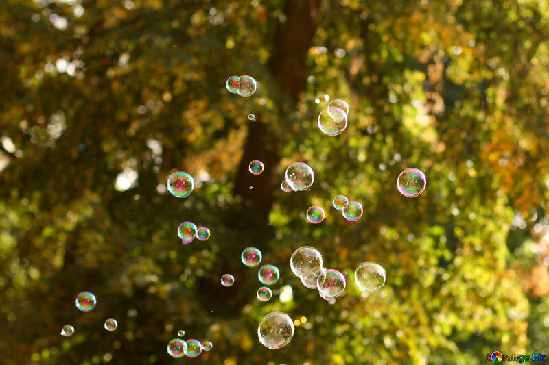 Bubbles drops green background №51125