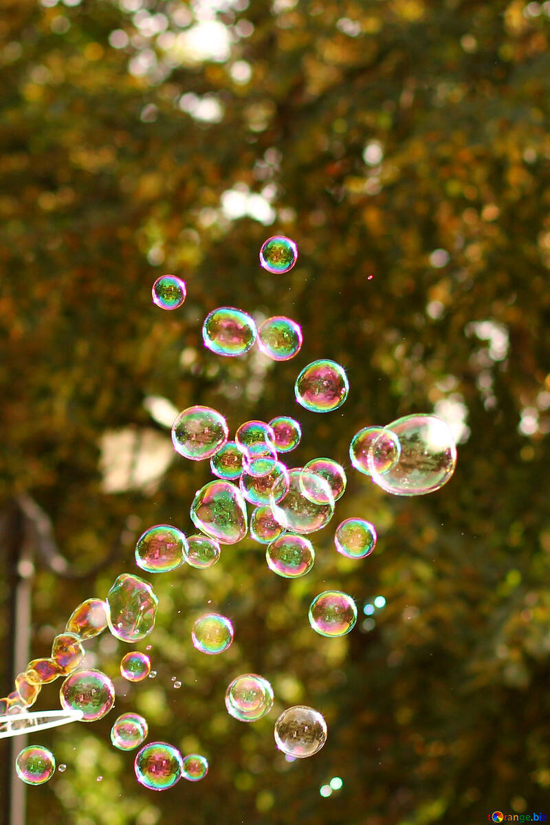 Плаваючі бульбашки №51121