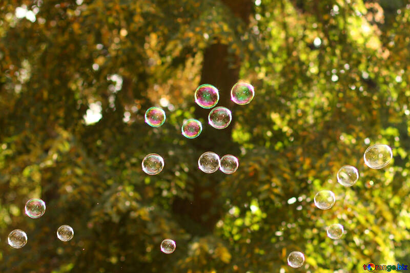 Bubbles soap and leaves №51127