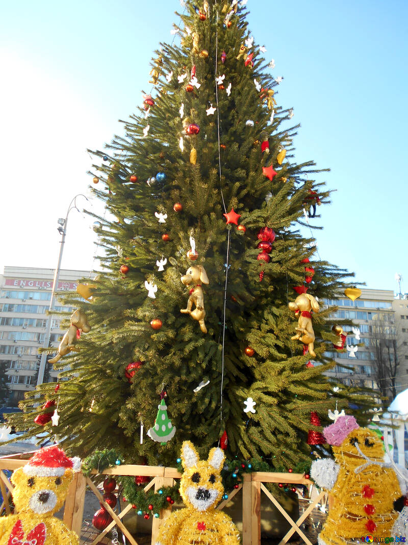 Christmas tree bears around №51163