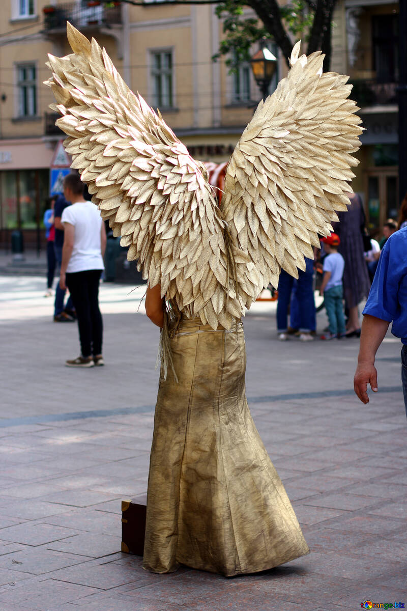 Estátua de anjo de fada humana №51817