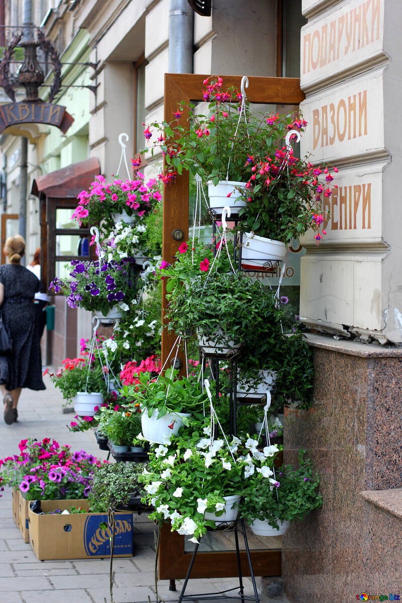 Flowers hanging on a shelf pots door street plants №51779