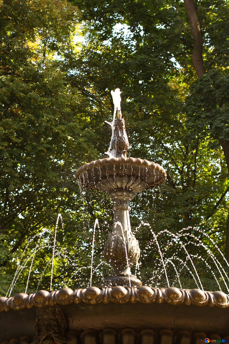 Brunnen im Park №51119
