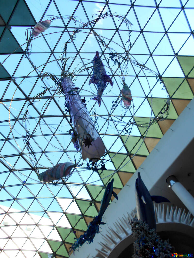 Un soffitto triangolare in vetro Fish №51168
