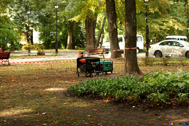 Парк, зелений, машини дерева ліс №51047