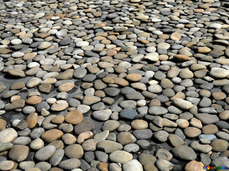 Pedras do rio №51303