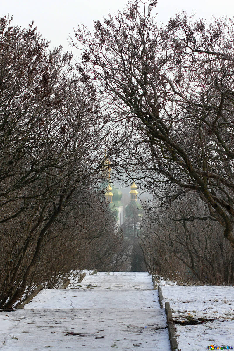 Estrada de cena de inverno uma neve de rua e árvore №51377