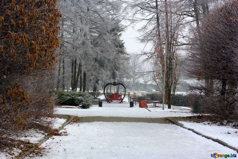 Snow in park winter №51314