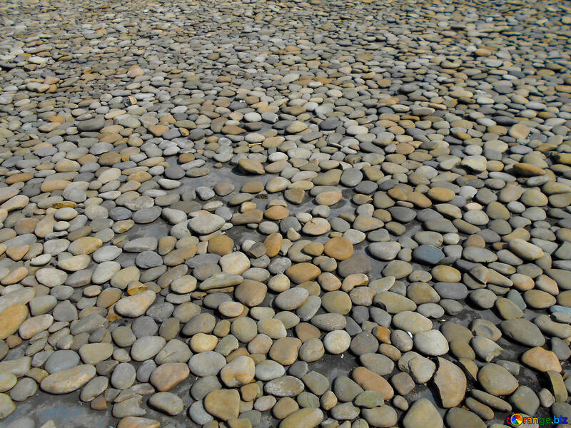 Pietre di ciottoli pietre pietre №51300