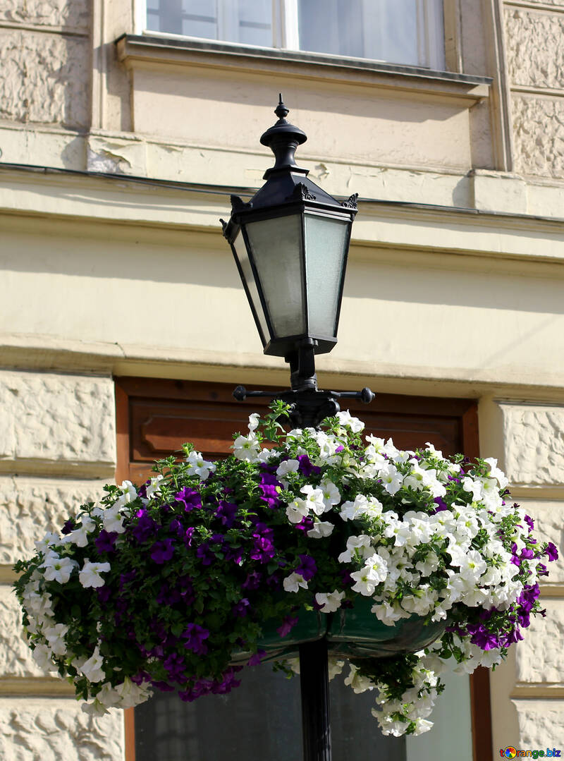 Lanterna de luz da rua com flores №51947