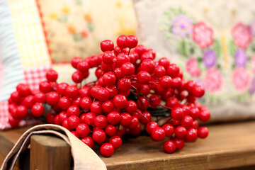 cranberries №52681