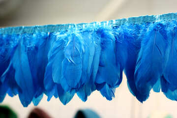 Penas azuis №52824