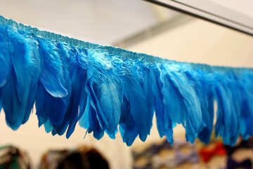 Blue Feathers №52823