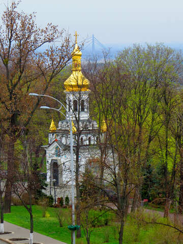 Una iglesia con un techo dorado detrás de los árboles. №52427