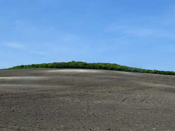 緑の葉の汚れの島と丘の不毛の風景 №52043