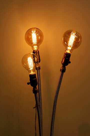 lightbulbs №52882