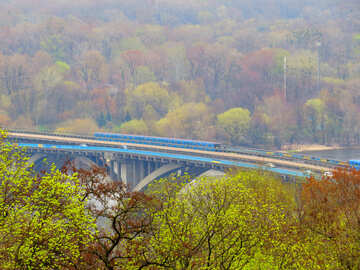 Міст поїзд дорогу восени багато кольорових залишити високі дерева №52461