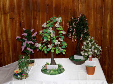 Plantes artisanales sur une table de fleurs №52386