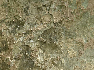 Bark that is brown dirt texture №52204