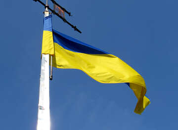 Bandiera gialla e blu №52079