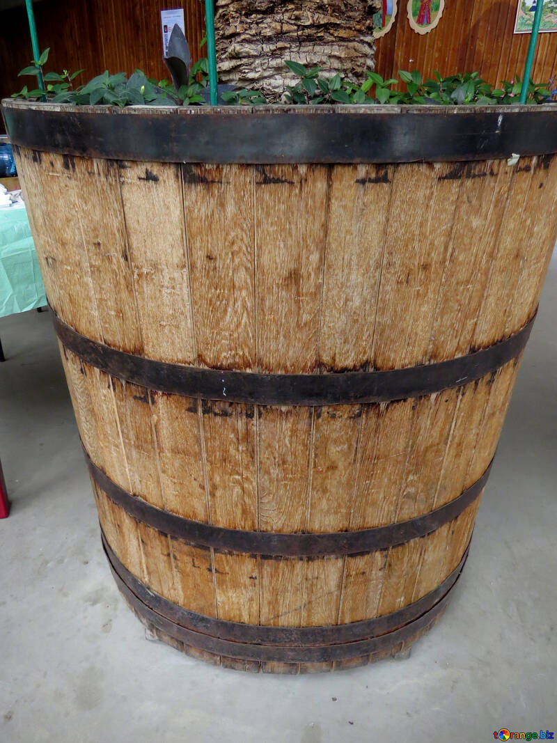 An old barrel flowerpot №52391
