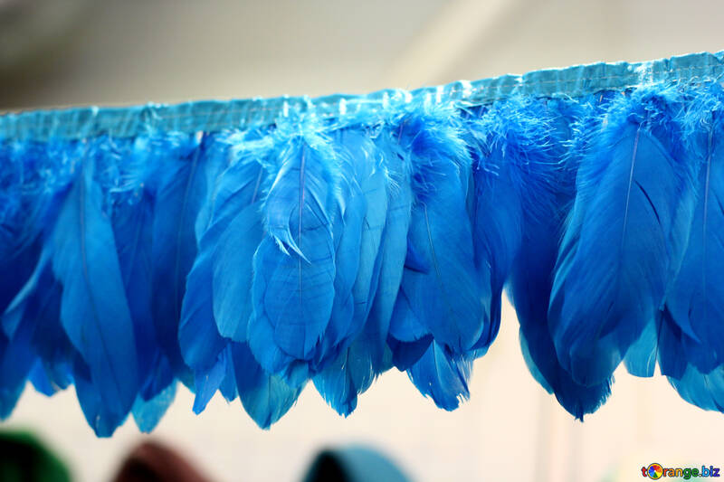 Feathers blue №52824