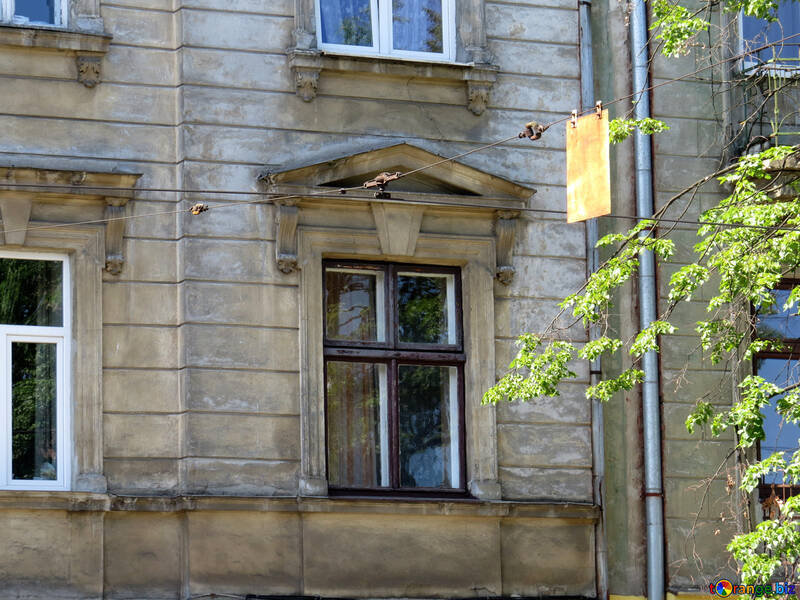 Altbau des Fensters mit den Blumen, die auf der Seite wachsen №52201