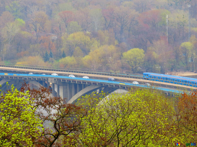 Straßenwald und Brücke №52462