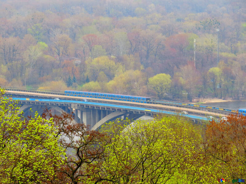 Pont train une route en automne beaucoup coloré laisse de grands arbres №52461