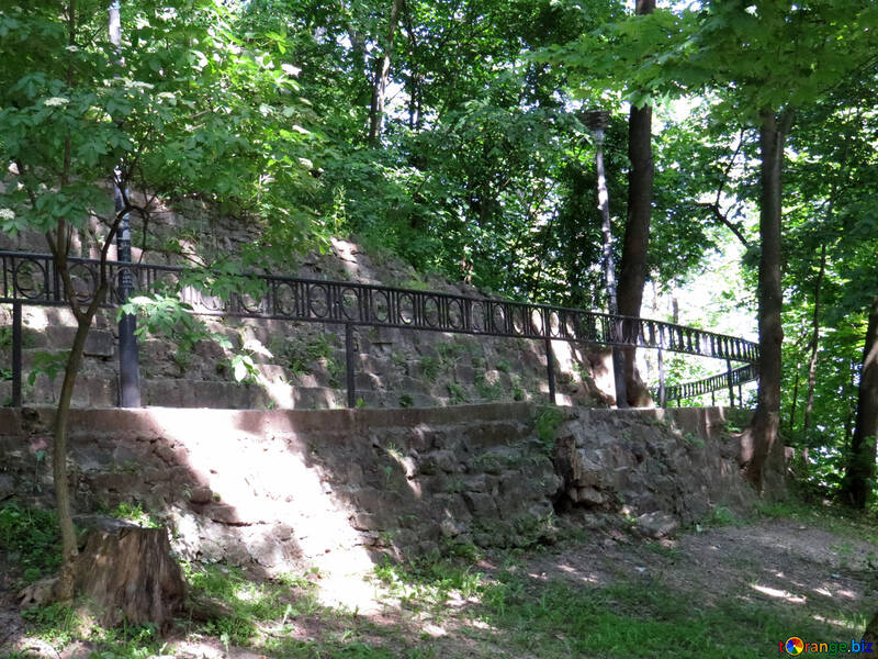 木の森公園の壁橋 №52071