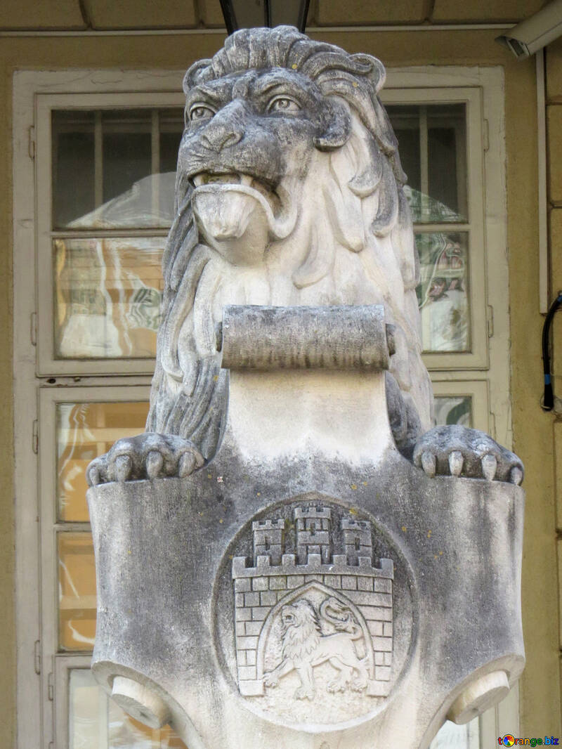 Stone lion №52337