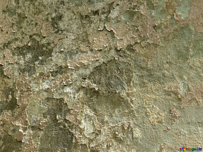 茶色の汚れテクスチャな樹皮 №52204