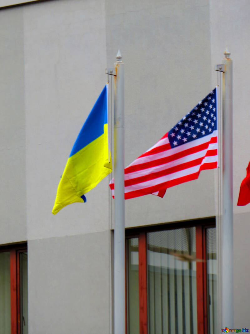 ウクライナとアメリカの国旗 №52469