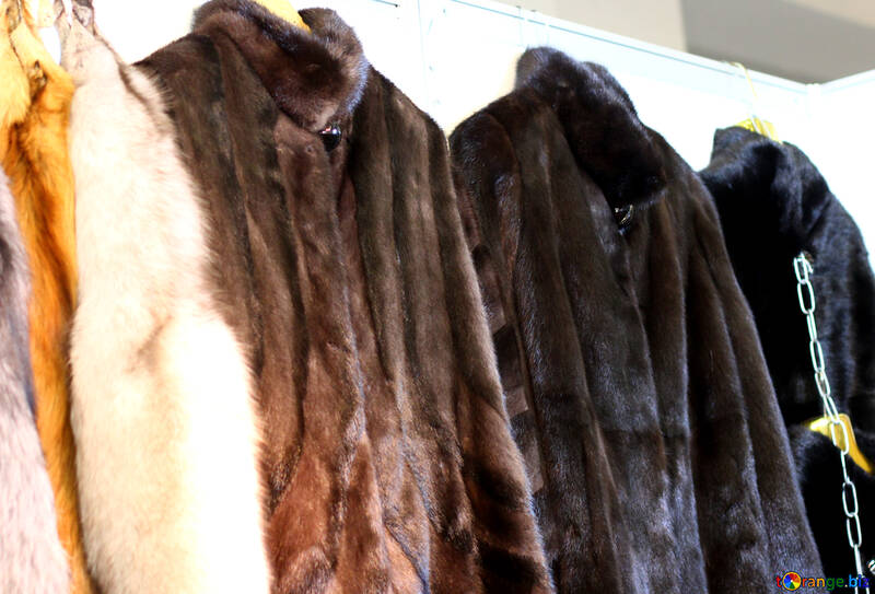 Quatre manteaux de fourrure de couleurs différentes sur un mur s`assombrissant de gauche à droite №52600