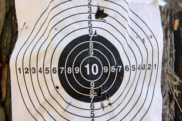 Un bersaglio per le freccette in bianco e nero con i numeri da 1 a 10 che scendono lungo il poligono di tiro medio №53340