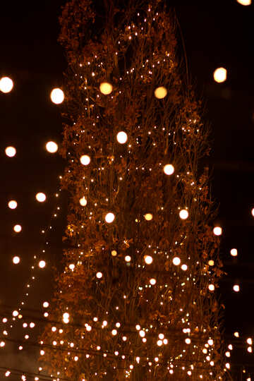 Árbol de luces de navidad №53522