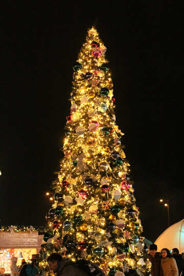 美しい渦巻き模様の光のクリスマスツリー №53614