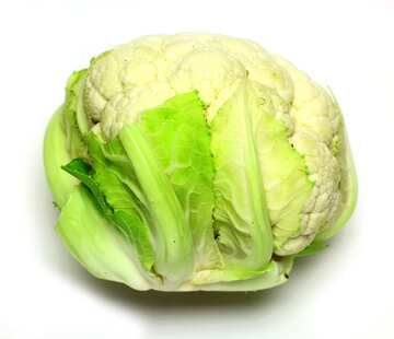 head of cauliflower №53635