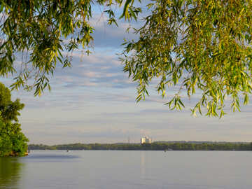 Une vue avec de l`eau et des feuilles d`arbres №53440
