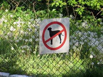 No dogs sign №53394