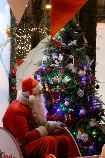 Santa Claus and christmas tree №53569