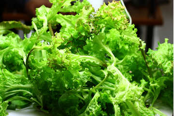 romane lettuce on a table greens plants №53025