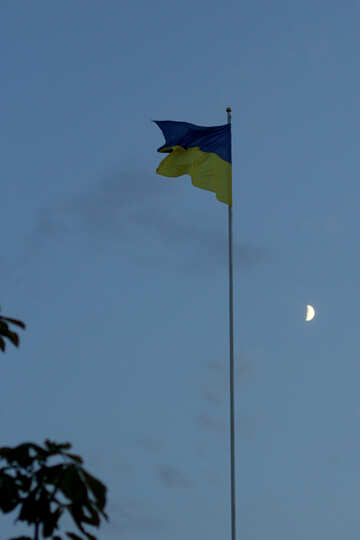Bandeira ucraniana no mastro №53230